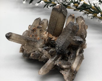 Smoky Quartz Cluster / Natural Crystal