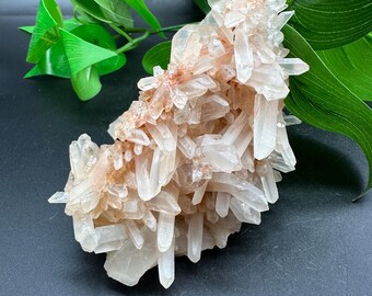 Quartz Crystal Cluster / Natural Quartz Cluster / Healing Crystal