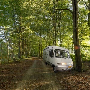 Peut inclure: Un camping-car blanc est garé sur un chemin de terre dans une forêt. Le camping-car est entouré de grands arbres aux feuilles vertes. Le chemin est recouvert de feuilles mortes et la scène est baignée de soleil.