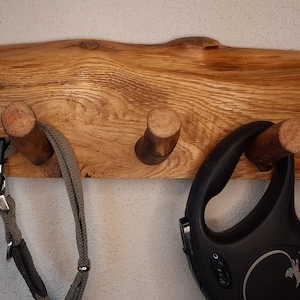 Wild oak dog wardrobe
