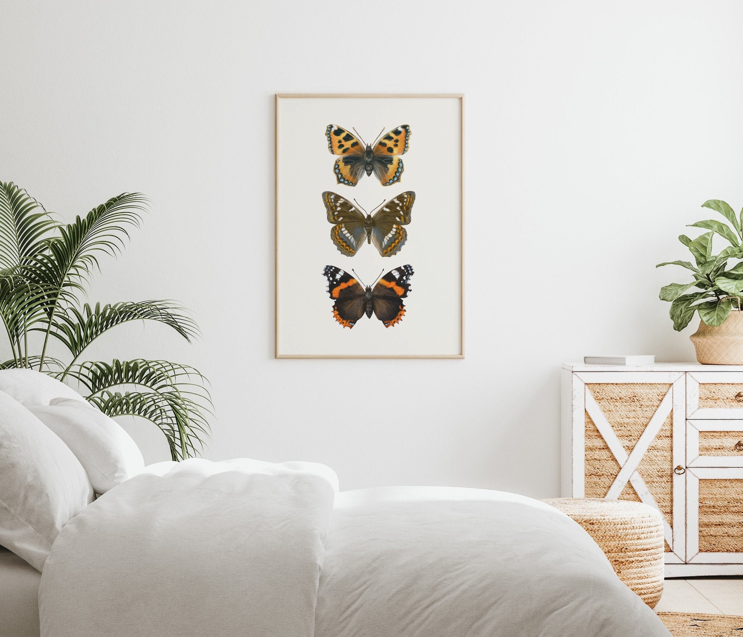 Printable Butterflies Poster Vintage-inspired Butterflies - Etsy Norway