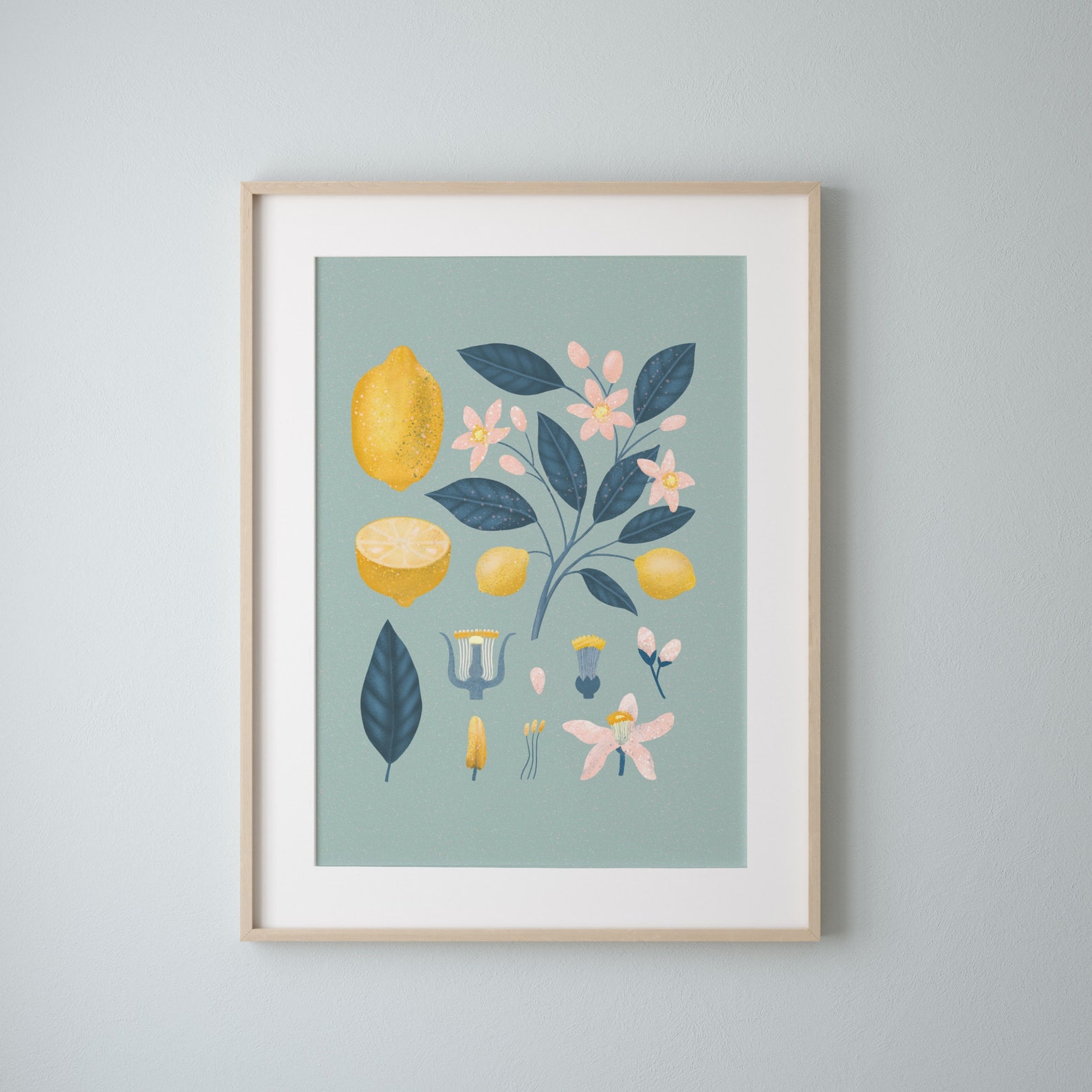 Lemon botanical drawing vintage style botanical poster lemon | Etsy