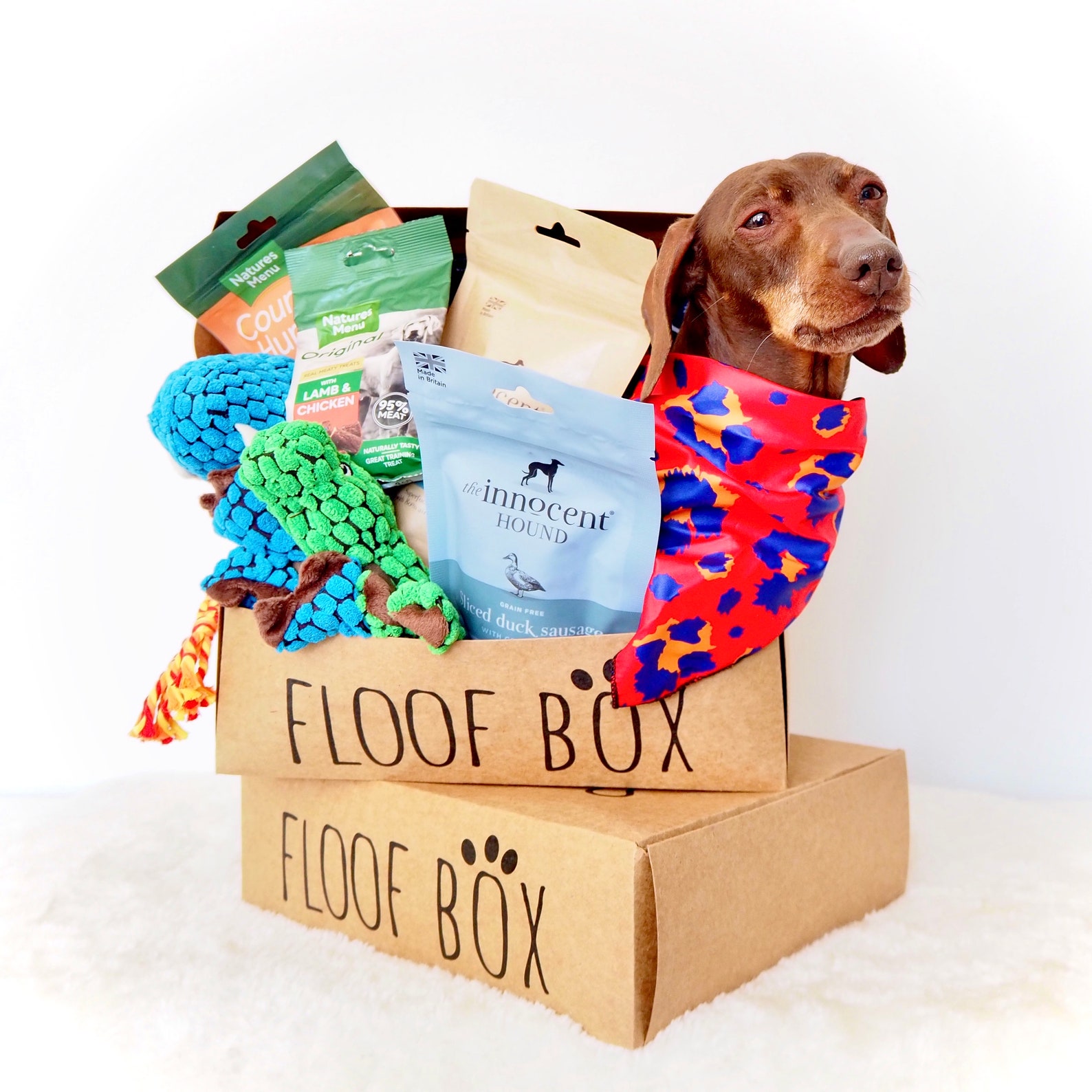 Floof Box Dog Surprise Box Etsy UK