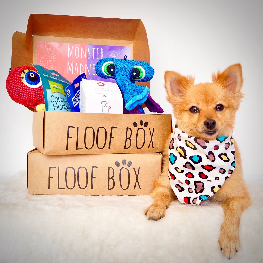 Floof Box Dog Surprise Box Etsy