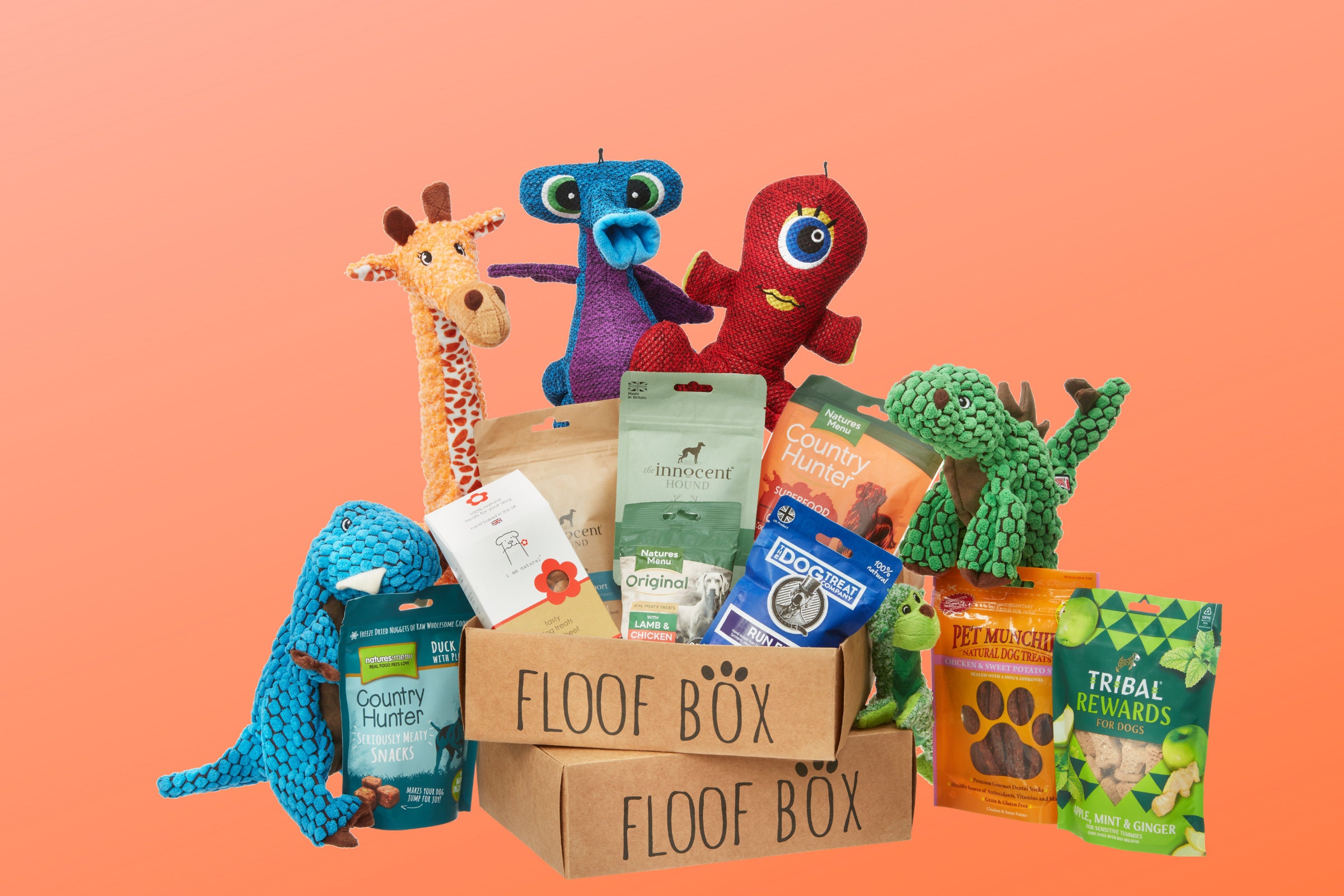 Floof Box Dog Surprise Box Etsy UK