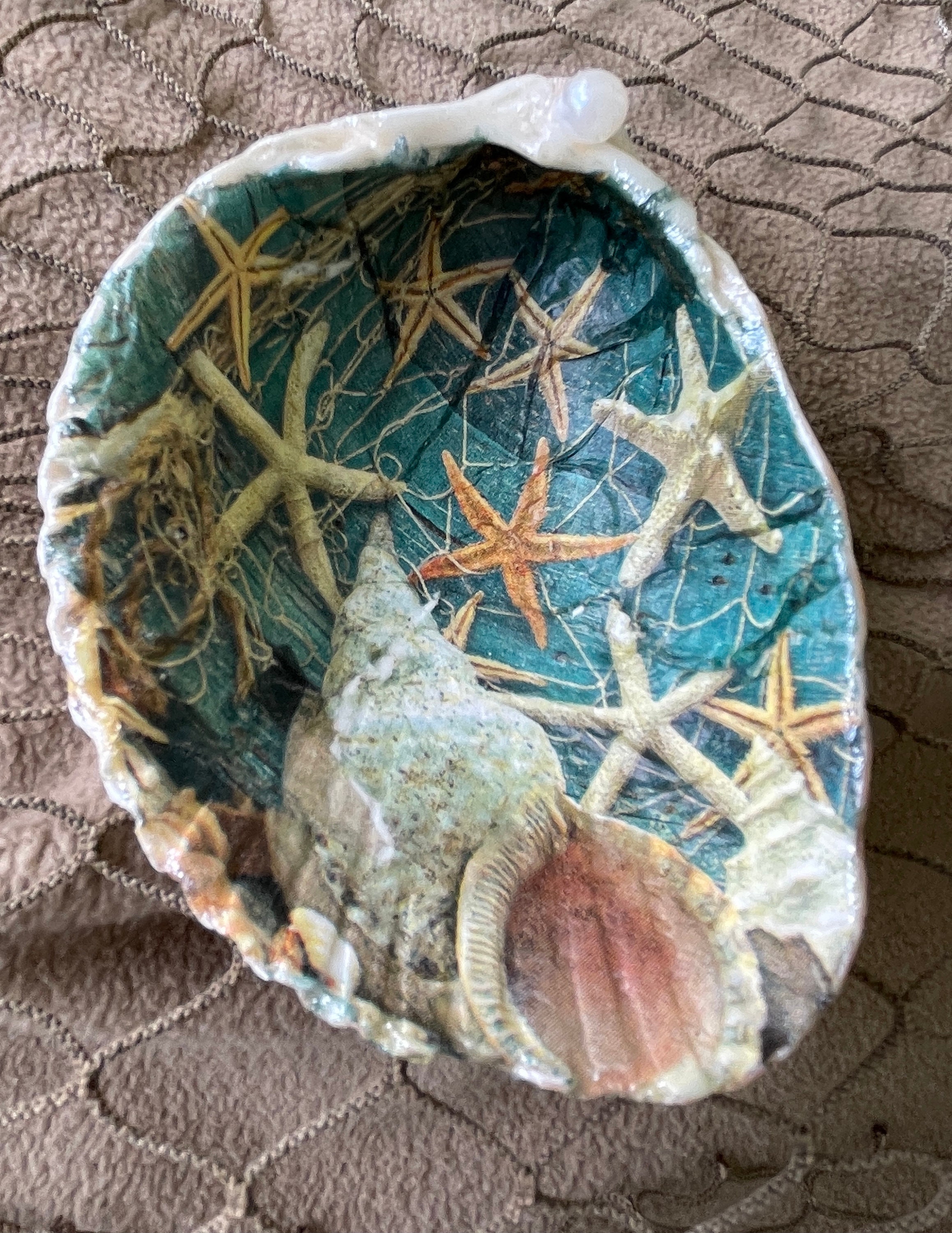 Large Decorative Shell Trinket Dish Bowl Etsy