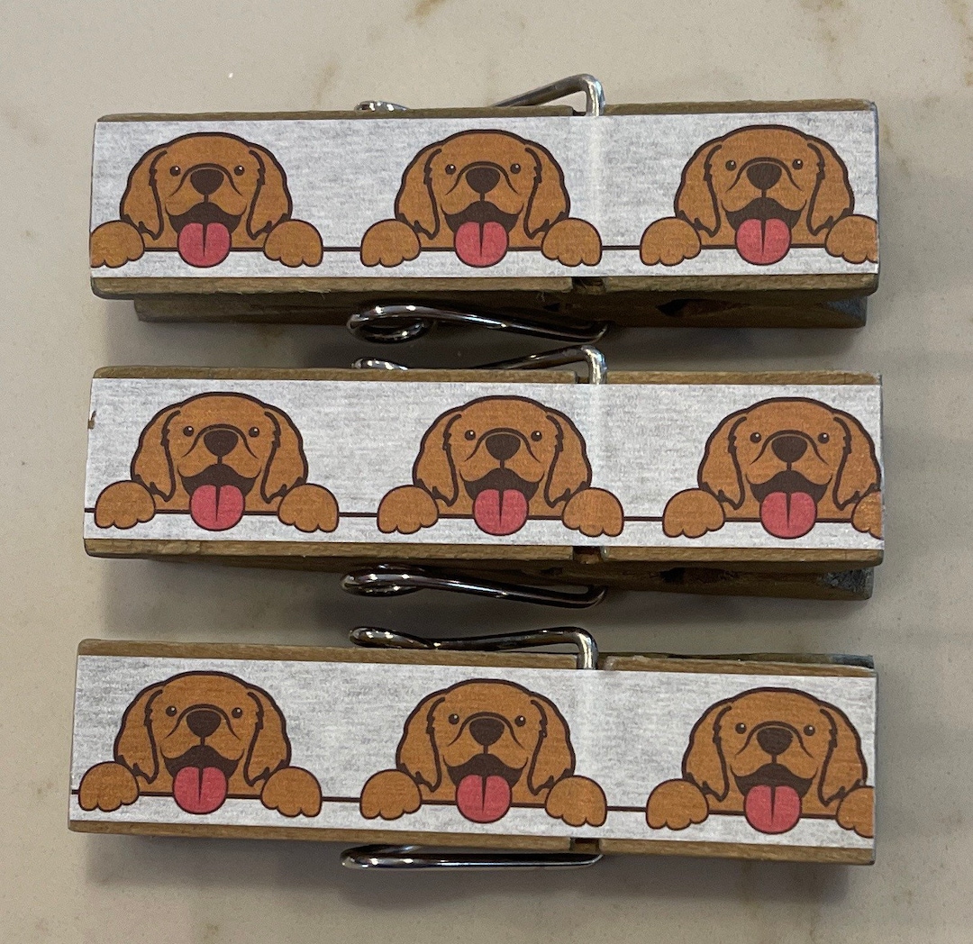Golden Retriever Puppy Dogs Chip Snack Clips Set/3 Etsy