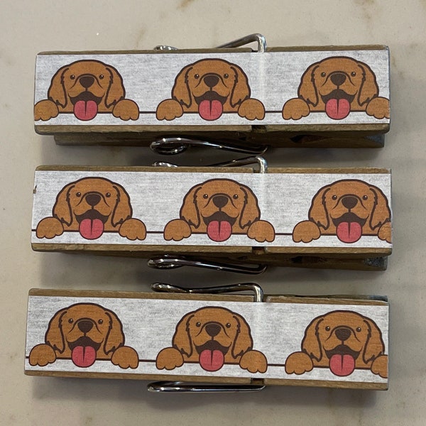 Golden Retriever Puppy Dogs Chip Snack Clips Set/3