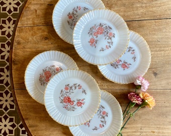 Lot de 6 assiettes plates vintages en arcopal