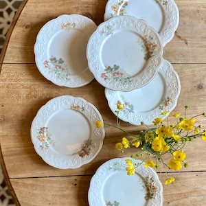 Set of 6 vintage porcelain dessert plates