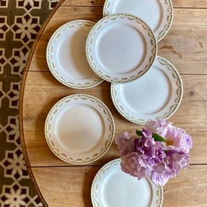 Set of 6 vintage ironstone flat plates - Sarreguemines