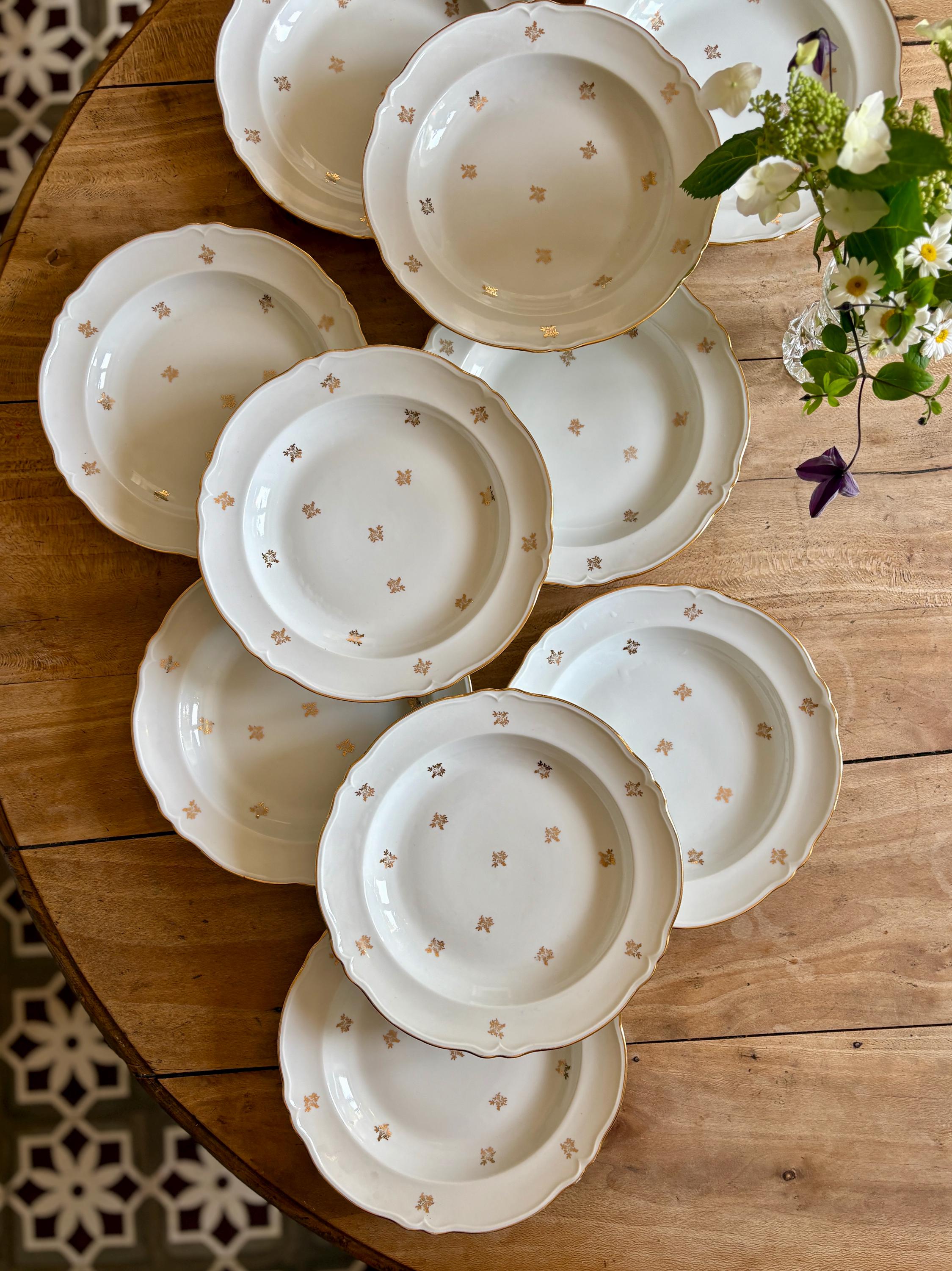 Set of 10 Vintage Limoges Porcelain Soup Plates - Etsy