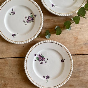 Set of 6 vintage dessert plates Violettes de Badonvillier image 4