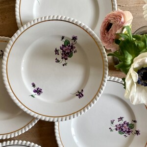 Set of 6 vintage dessert plates Violettes de Badonvillier image 5