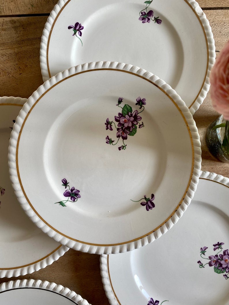 Set of 6 vintage dessert plates Violettes de Badonvillier image 6