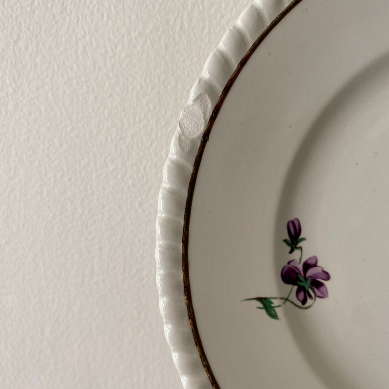 Set of 6 vintage dessert plates Violettes de Badonvillier image 8