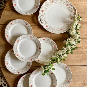 Vintage Digoin cake service