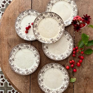 Puede incluir: Seis platos vintage de color crema con un borde floral marrón están dispuestos sobre una mesa de madera. Los platos tienen un borde dorado. Bayas rojas y flores rojo oscuro se colocan sobre la mesa.
