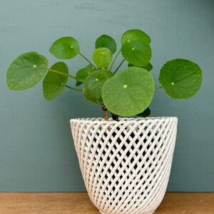 Pode incluir: Uma planta Pilea peperomioides com folhas redondas de um verde vibrante num vaso branco texturizado. O vaso apresenta um padrão distinto de corda entrelaçada que envolve o exterior, criando uma aparência de rede tecida.