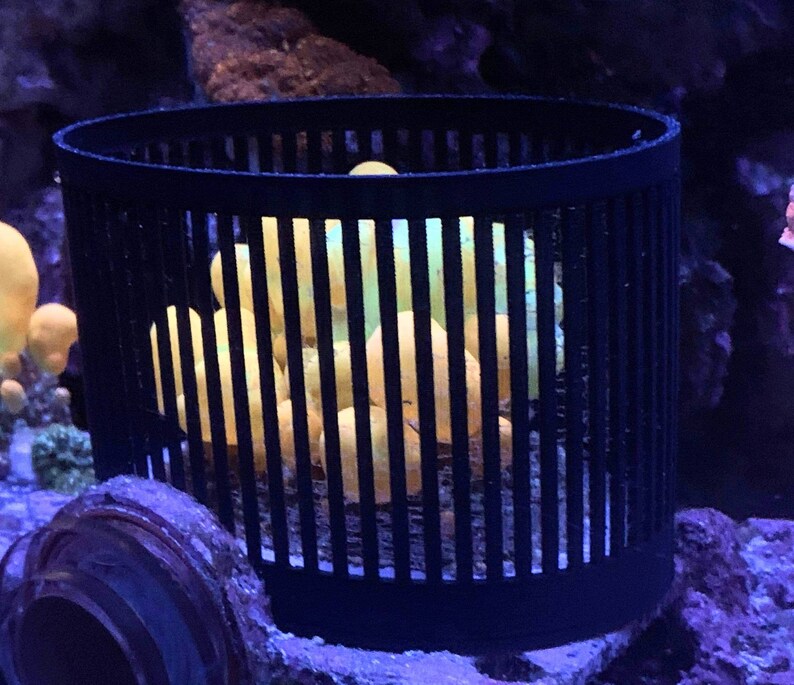 XL Mushroom Cage 34.5 Reef Keeping Etsy