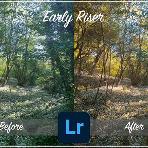 WCZESNY PTASZEK Filtr Adobe Lightroom Preset, Edycja fotografii, Wtyczki i Presety, Filtry, Wieś, Natura, Krajobraz