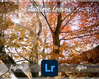 AUTUMN LEAVES Adobe Lightroom Preset Filter, Photography Editing, Plugins & Presets, Filters, Countryside, Nature, Landscape