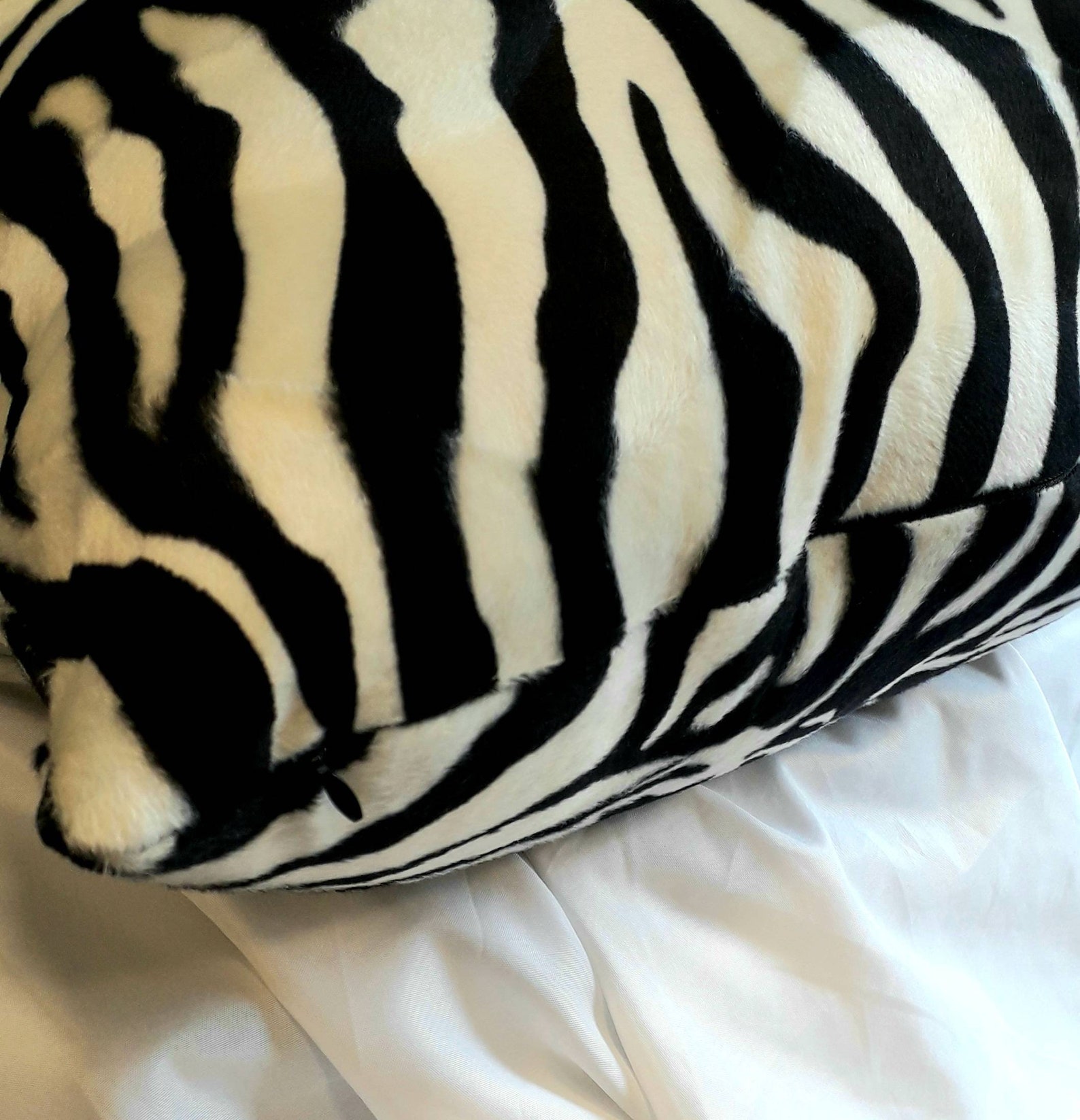 Vibrant Zebra Cushion Cover With Hidden Zip Closure as See on Etsy
