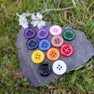 Può includere: Assortimento di 12 bottoni di plastica colorati con quattro fori ciascuno. I bottoni sono disposti in cerchio su una roccia grigia con erba verde sullo sfondo.