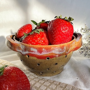 Fruit Strainer