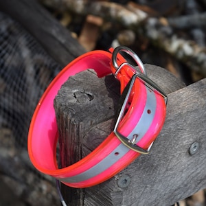 Puede incluir: Un collar de perro de color rosa brillante con una tira reflectante y una hebilla plateada. El collar está sobre una superficie de madera.