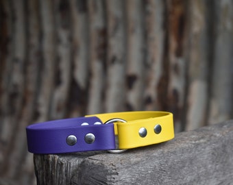 Two-Toned 1” BioThane® Tag Collar
