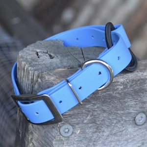 Biothane eCollar Strap 1"