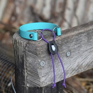 3/4&quot; Biothane Bungee Ecollar Strap