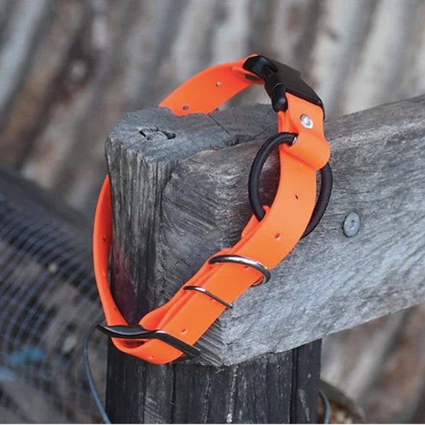 Biothane eCollar Strap 1" with Quick Release Buckle