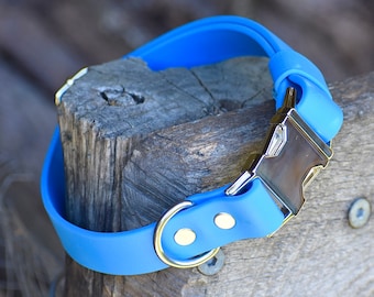 1 "Schnellverschluss-Halsband aus Biothane
