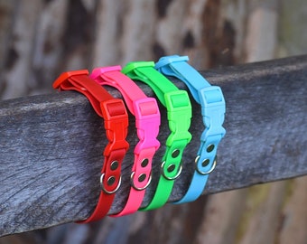 Farbiges 3/4-Zoll-Schnellverschluss-Biothane-Halsband
