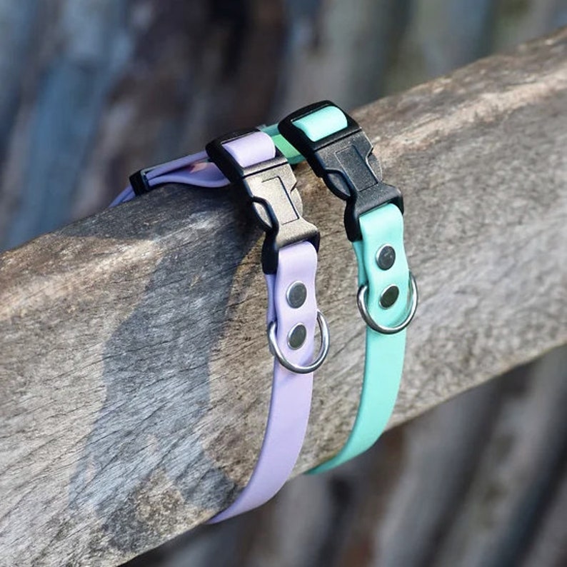 Puede incluir: Dos collares para perros, uno lavanda y otro azul claro, con hebillas negras y anillas en D plateadas. Los collares est&aacute;n hechos de un material suave y flexible.