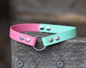 Two-Toned 3/4” BioThane® Tag Collar