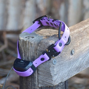 BioThane® eCollar Strap 3/4&quot; with Cobra® Buckle