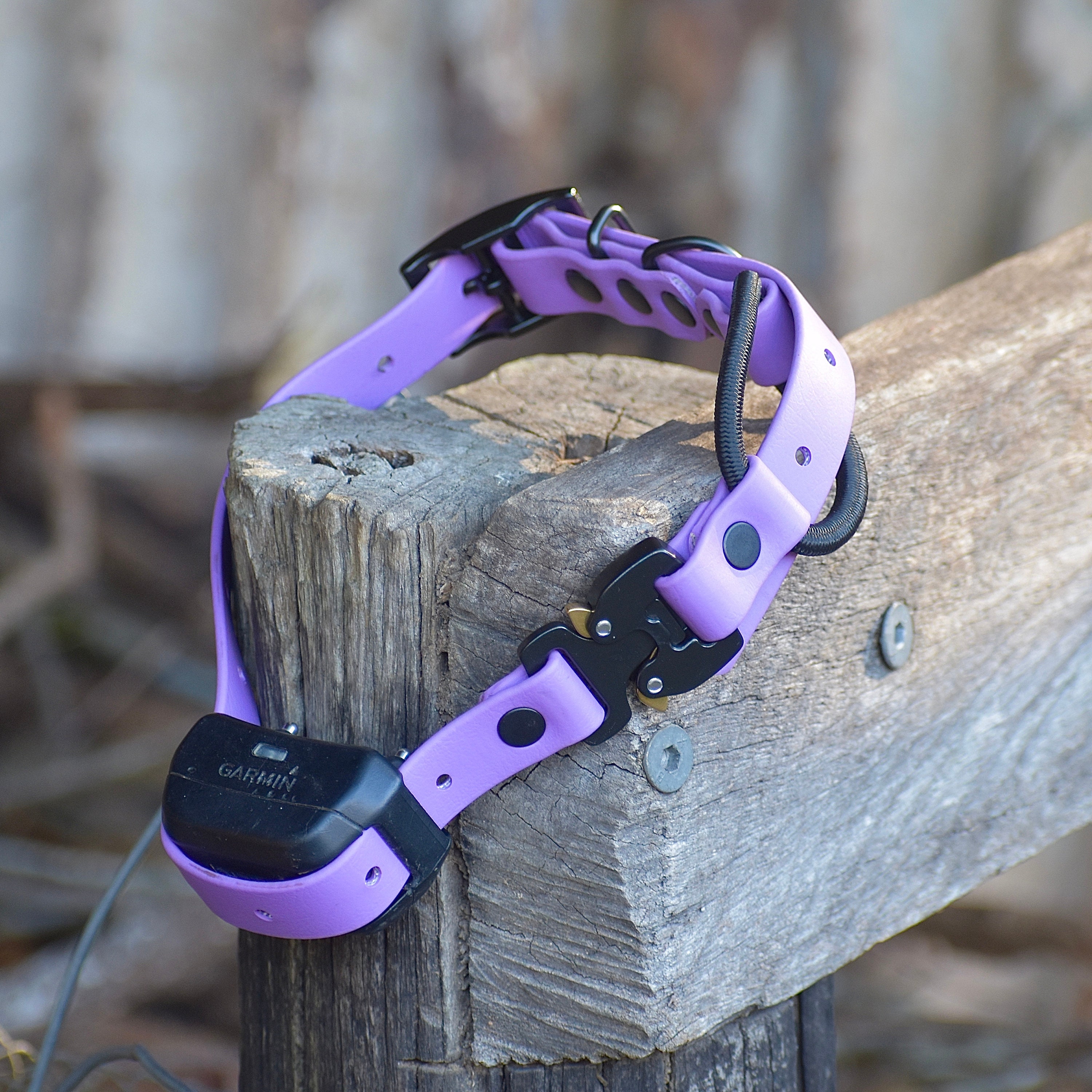 BioThane® eCollar Strap 3/4" with Cobra® Buckle