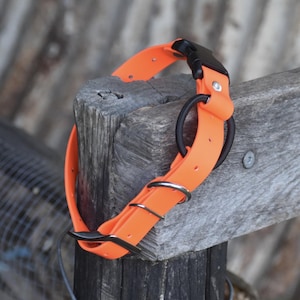 Biothane eCollar Strap 1" with Quick Release Buckle