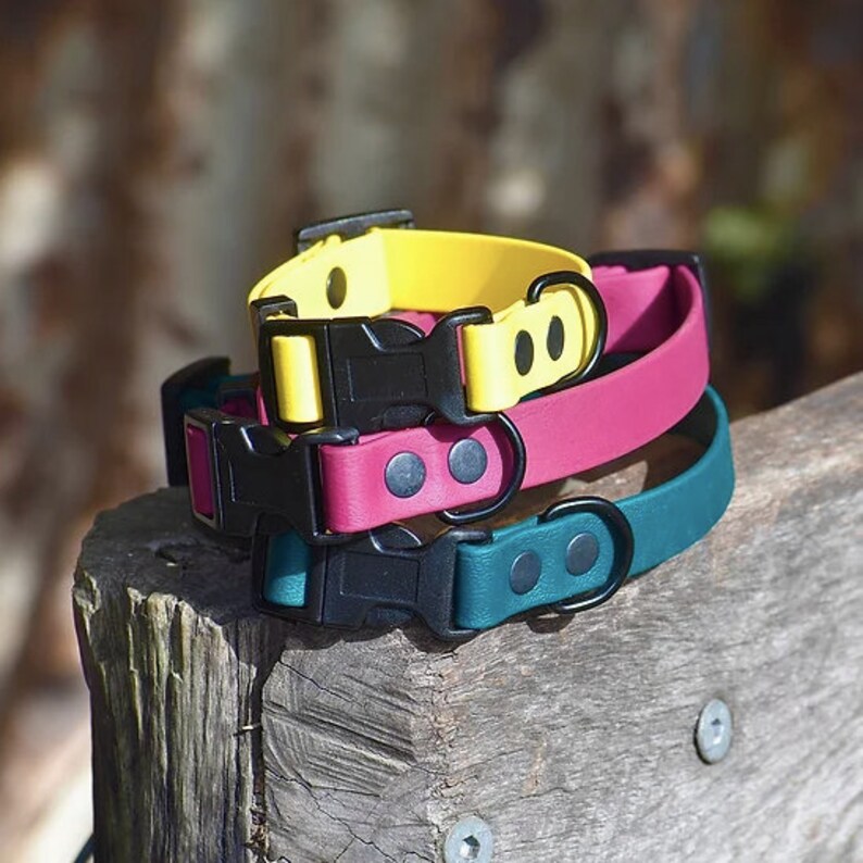 Puede incluir: Tres collares para perros apilados uno encima del otro. El collar superior es amarillo, el collar del medio es rosa y el collar inferior es verde azulado. Los tres collares tienen hebillas negras y anillos met&aacute;licos.