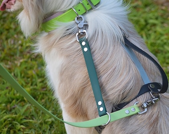 Biothane Safety Leash Extension