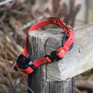 BioThane® eCollar Strap 3/4" with Cobra® Buckle