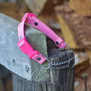 3/4&quot; Biothane Martingale With Quick Release Buckle