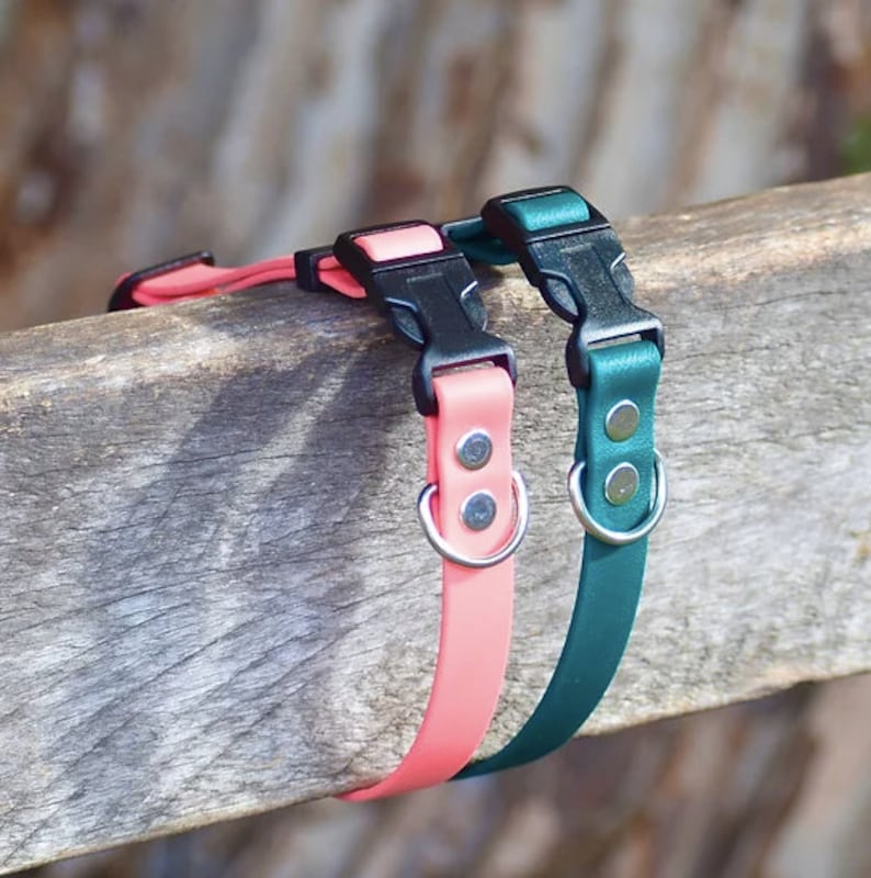 Puede incluir: Dos collares para perros, uno rosa y otro verde, con hebillas negras y anillos plateados. Los collares est&aacute;n hechos de un material suave y duradero, perfectos para el uso diario.