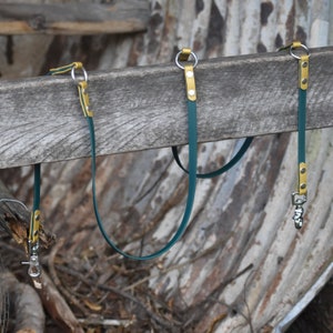 Puede incluir: Dos correas de cuero verde para perros con detalles dorados y cierres plateados. Las correas están colgadas sobre una superficie de madera desgastada.
