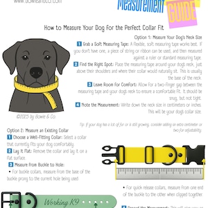 Puede incluir: Gu&iacute;a ilustrada sobre c&oacute;mo medir el cuello de un perro para un collar. La gu&iacute;a incluye dos opciones: medir el cuello del perro directamente o medir un collar existente. La gu&iacute;a tambi&eacute;n incluye un consejo para perros con mucho pelo o que todav&iacute;a est&aacute;n creciendo.