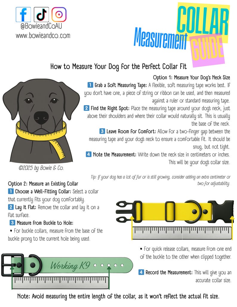 Puede incluir: Gu&iacute;a ilustrada sobre c&oacute;mo medir el cuello de un perro para un collar. La gu&iacute;a incluye dos opciones: medir el cuello del perro directamente o medir un collar existente. La gu&iacute;a tambi&eacute;n incluye un consejo para perros con mucho pelo o que todav&iacute;a est&aacute;n creciendo.