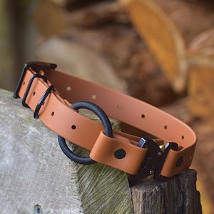 Biothane eCollar Strap 1&quot; with Cobra Buckle